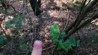 Ogromny jęczący wytrysk w lesie na zewnątrz