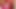 見せびらかす