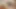 Üç seksi arkadaş küçük yarağıyla dalga geçmek için evine geliyor