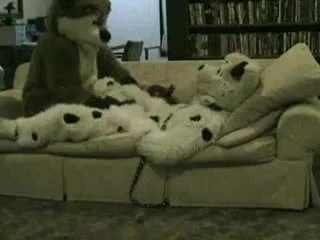 fur 1