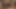 Dido Angel & Alexa Thomas Lesbian Piss Drinking