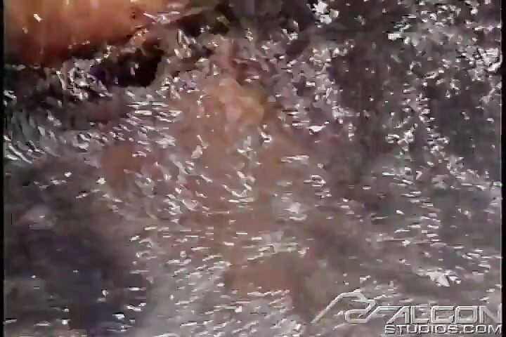 Plunge