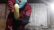 Pregled videozapisa