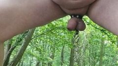 Another wank in the woods