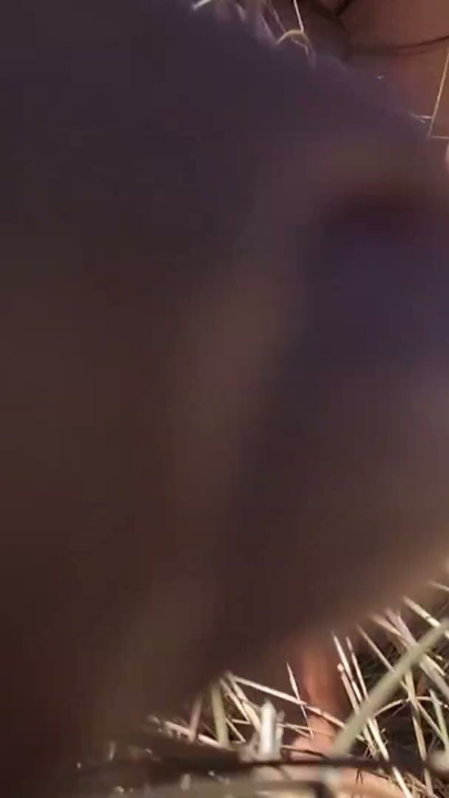 Couple fucks in the sunflower field | Clip 2