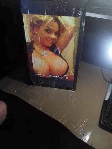 tribute 22   big tits