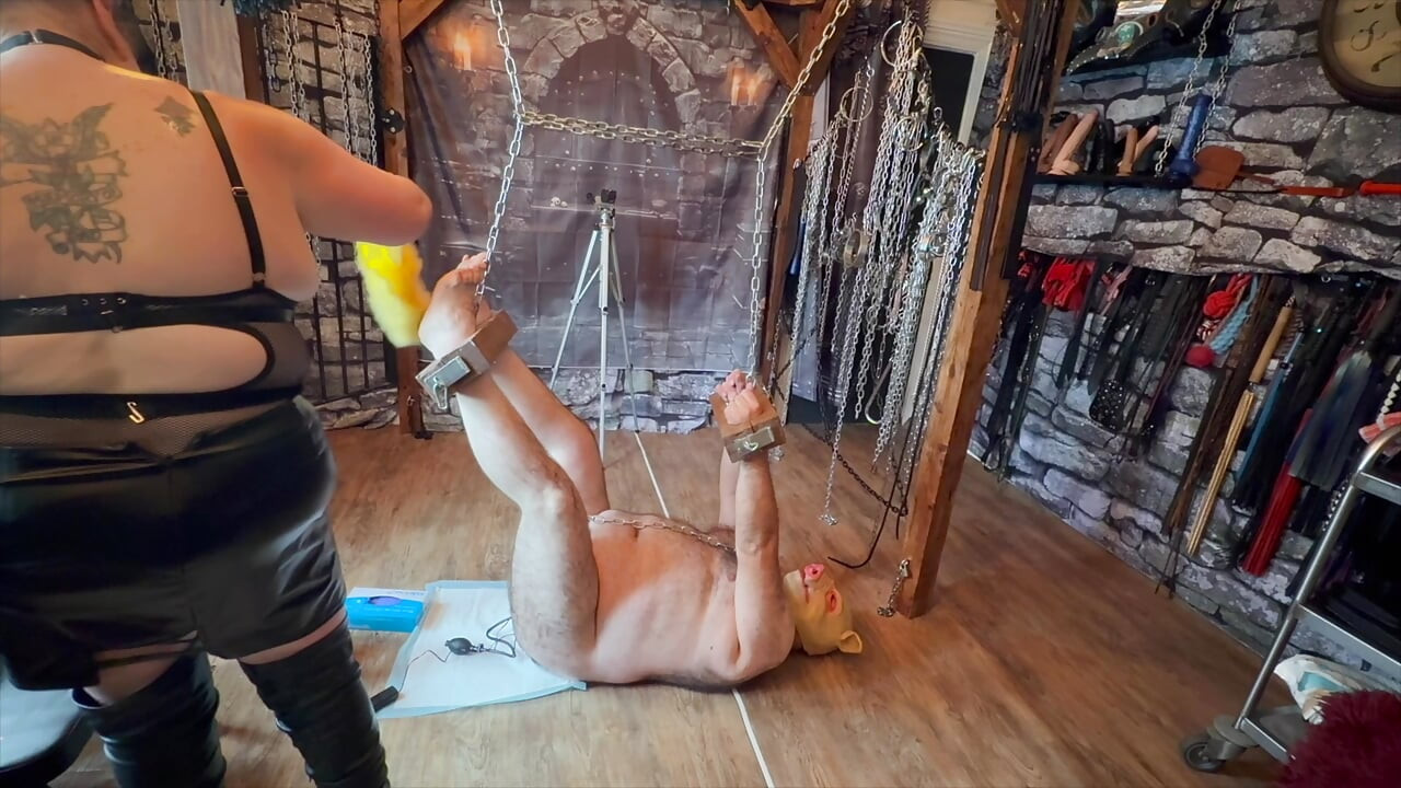 Domina Satana i Satanina svinja u dionicama.