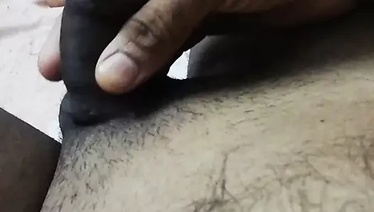 Anakonda küçük horoz
