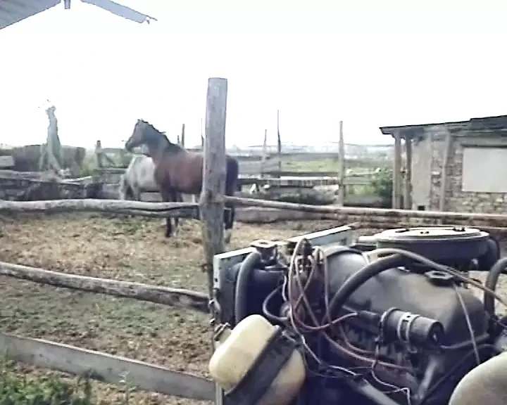 Superb German babe fucked on the farm