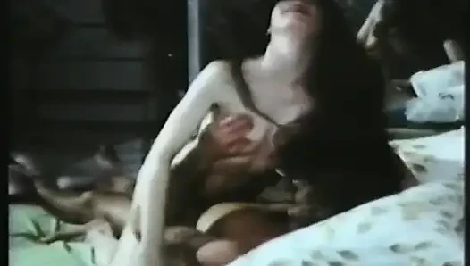 The Pornographic Adventures of a Chambermaid