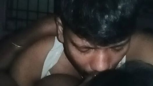 Indische möpse küssen sich