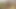 Amazonギフト証明書