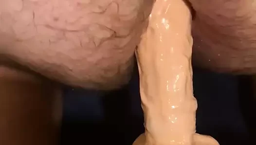 Chub büyük horoz seviyor