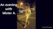 Video preview