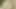 Egyptian veiled and hairy nicka. To download the remaining s