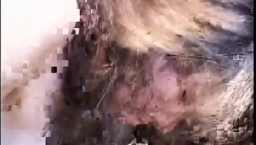 Längster schwarzer schwanz, diese brünette milf gelutscht oder zum schweigen gebracht