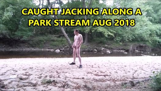 2018年8月に公園のストリームでジャッキを捕まえる