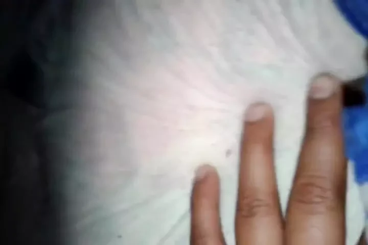 Up the Ass 2