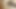 AsianSexDiary - 巨根で満たされた厚いアジア人