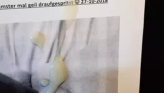 Cum üzerinde susi