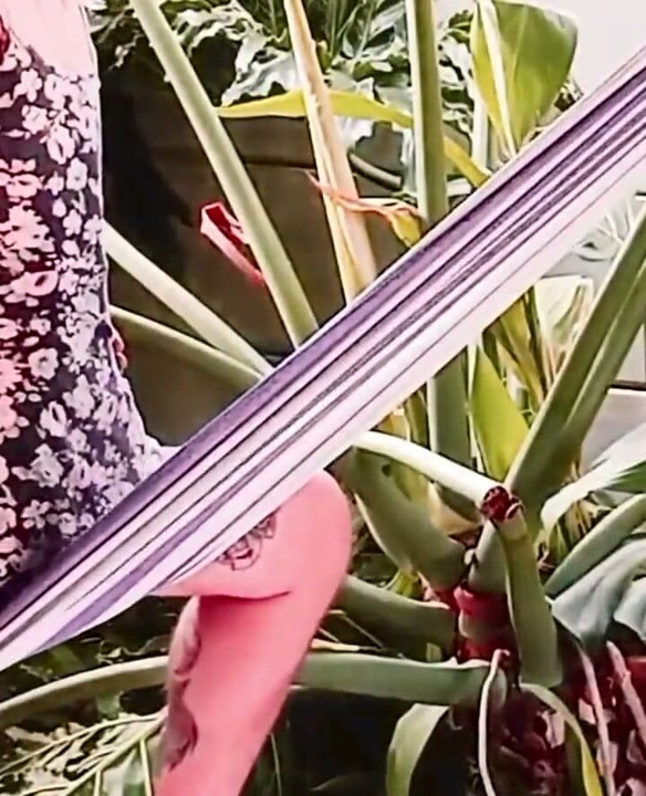Enjoying My Neighbors Wifes