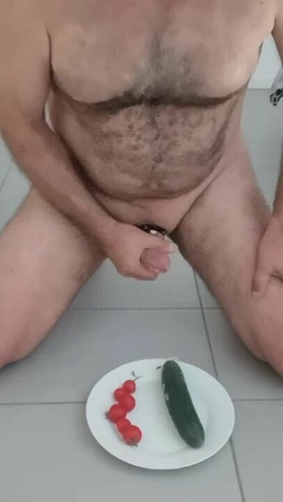 Petslave 2