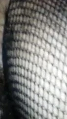 HAIRY ITALIAN CROSSDRESSER TAKES OLDER MAN'S BIG DICK