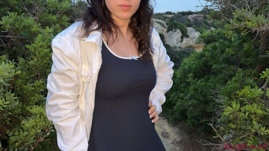 Pregled videozapisa