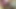 Puppy Training - SHOWER with Owner Ends with Facial Cumshot