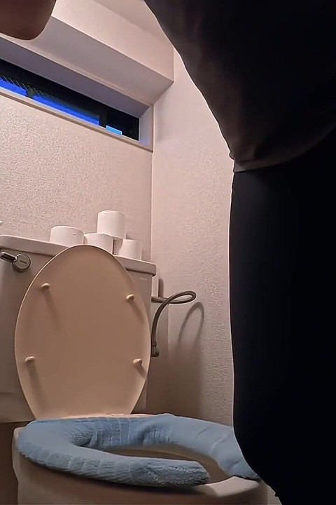Daily Life of a Japanese Wife - Toilet