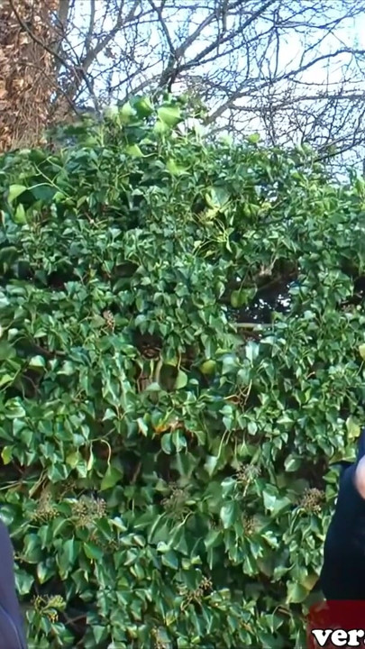 Old German woman is persuaded to have sex on the street | Clip 1