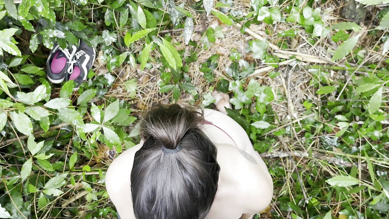 While out for a walk in the public park with my stepsister, I find her naked.
