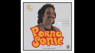 Pornosonic 70年代のポルノ音楽