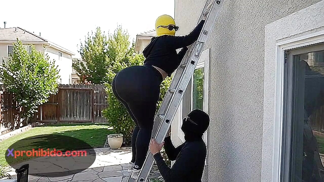 Stor rövflicka skakar sin enorma rumpa i tunn rem