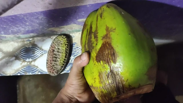 Enjoy with coconut