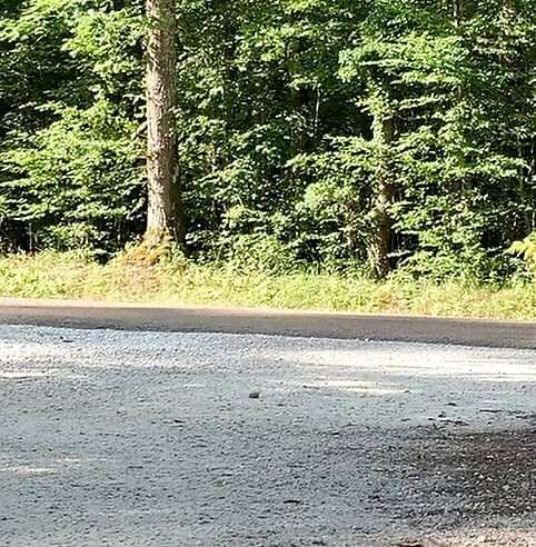 Sculling on the departmental road