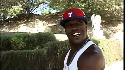 Schwarzer hengst rammt seinen schwanz in ebenholz-schwanzlutscher