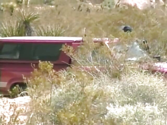 Desert oasis 1