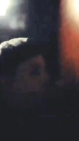 Blowjob Novum