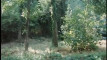Pratinjau video