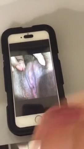 Tribute to the cum lover
