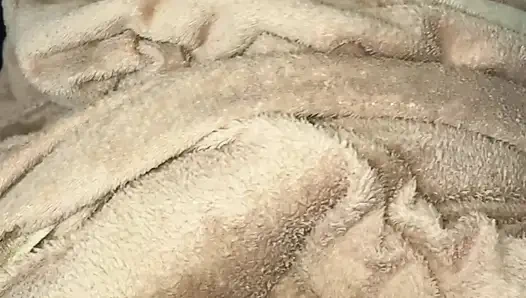 Ngentot ibuku pagi-pagi sampai aku crot di dalam memeknya