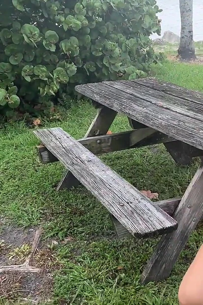 Amateur Couple Outdoor Having Fun.