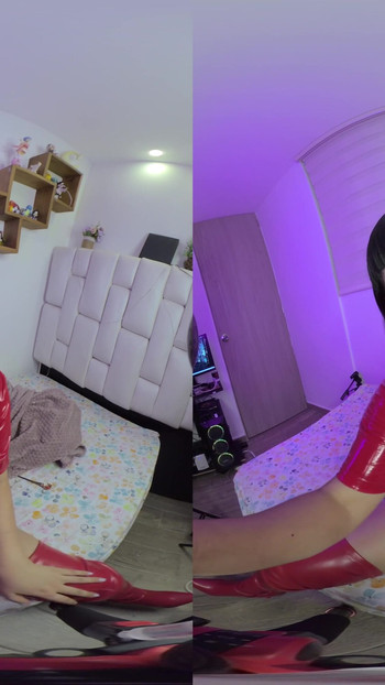 Pregled videozapisa