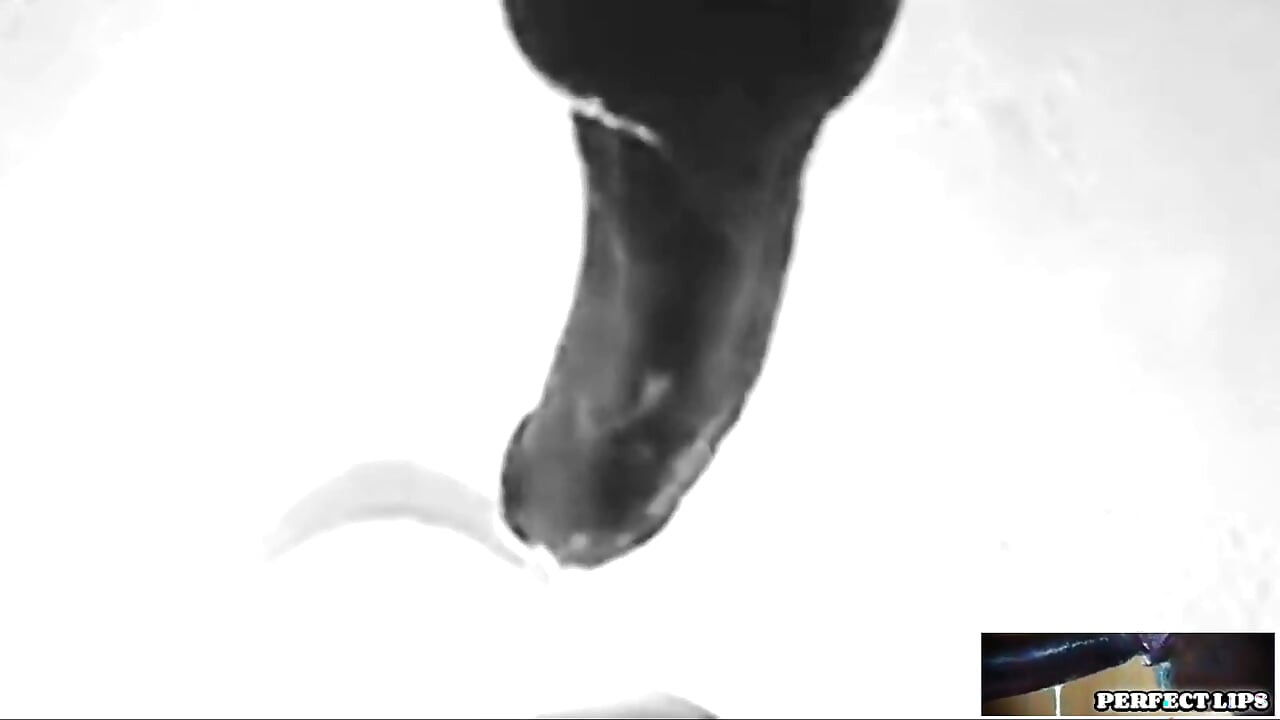 Perfect Lips - noir et blanc avec un cul baveux bouche !!