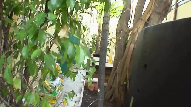 Horny milf lets herself be fucked nicely by the neighbor while her husband is working.