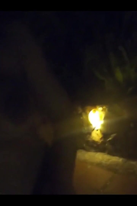 Fucking Outside at Night