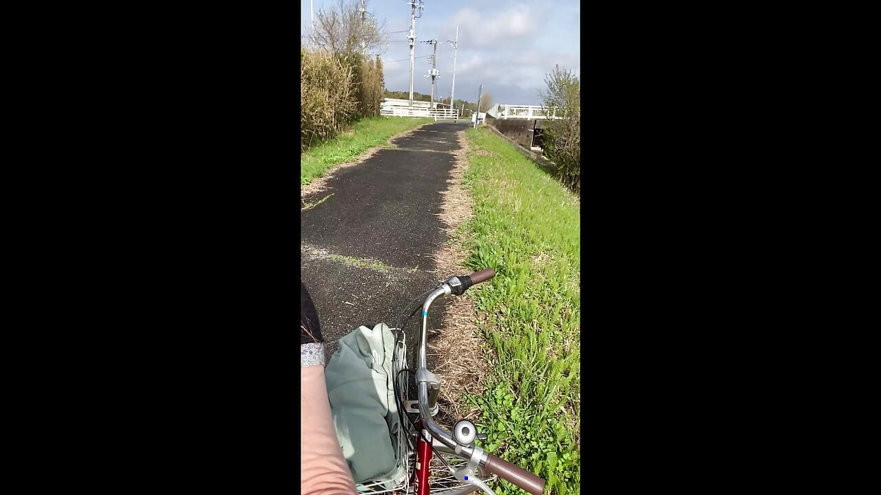 No174 Tack Exposure along the road