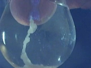 cum in water
