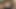 Geile MILF gibt Jungspund Nachhilfe beim Ficken